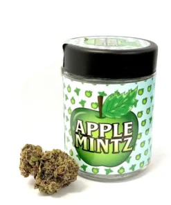 Apple Mintz Strain | Backpackboyz