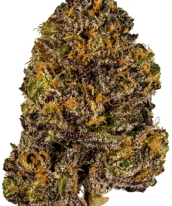 Alternative view of Granddaddy Purple