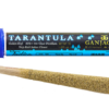 Ganja Gold/Blue Tarantula