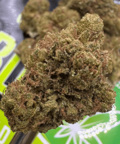 Buy Jack herer - CBD Flower