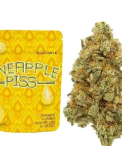 Pineapple Piss Strain