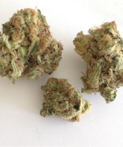 Strawberry Cough weed